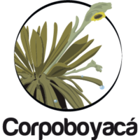 logo-corpoboyaca